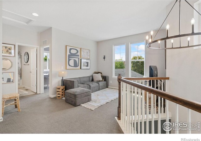 8199 White Owl Ct, Windsor, CO 80550
