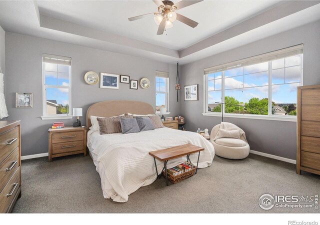 8199 White Owl Ct, Windsor, CO 80550