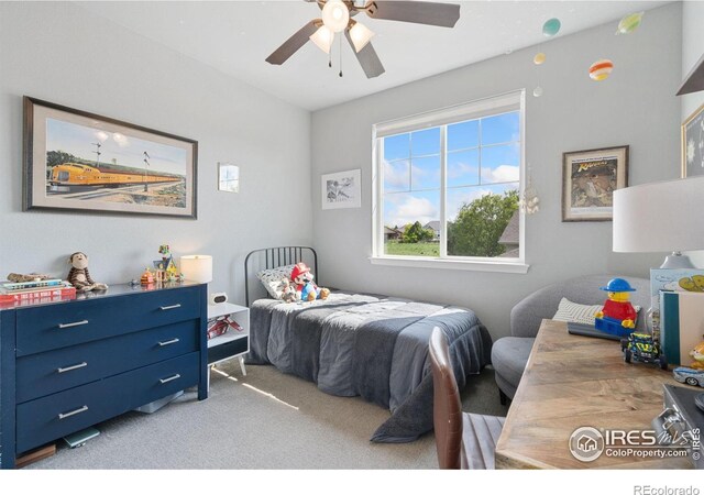 8199 White Owl Ct, Windsor, CO 80550