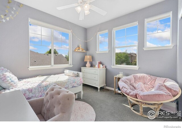8199 White Owl Ct, Windsor, CO 80550