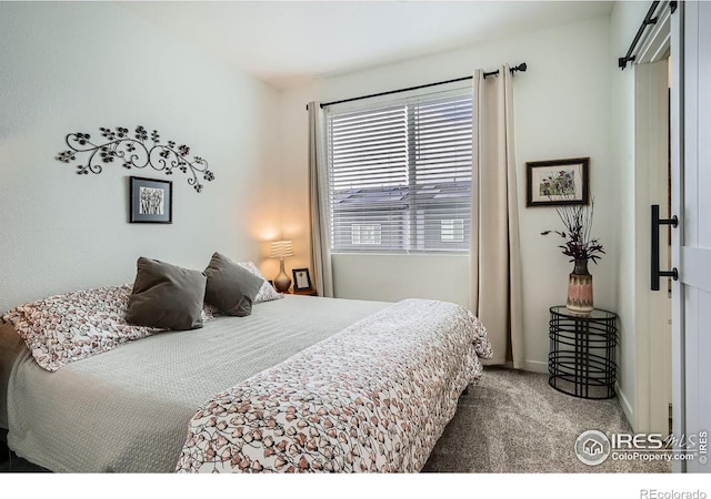 14553 W 91st Dr Unit A, Arvada, CO 80005 - bedroom with carpet floors and baseboards