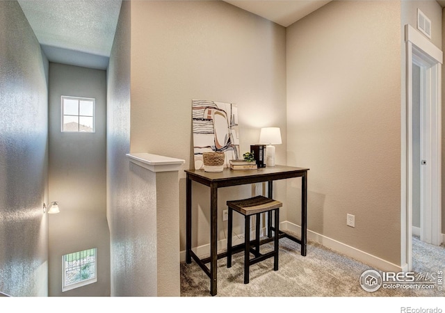 420 High Point Dr Unit 102, Longmont, CO 80504 - hall featuring carpet floors, baseboards, and a textured wall