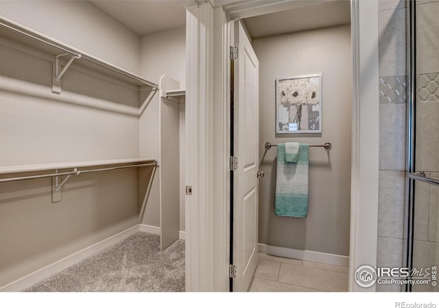 410 High Point Dr Unit 102, Longmont, CO 80504 - view of walk in closet