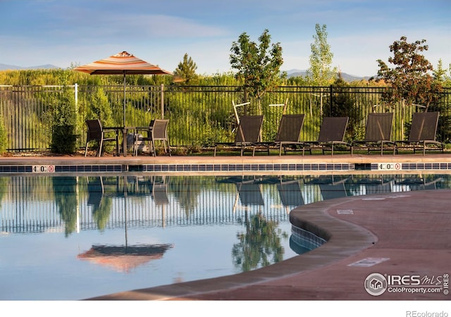 4204 Trapper Lake Dr, Loveland, CO 80538 - photo 26