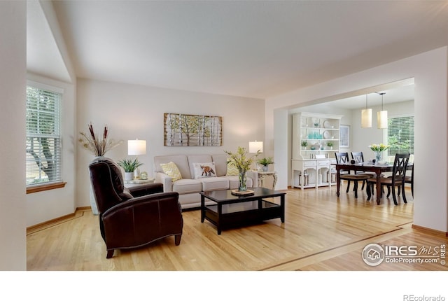 5603 Pierson Mountain Ave, Longmont, CO 80503 - living room featuring wood finished floors and baseboards