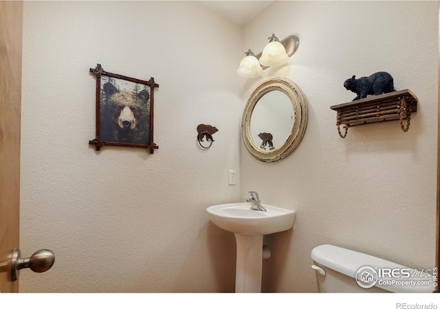 5603 Pierson Mountain Ave, Longmont, CO 80503 - bathroom with toilet and a sink