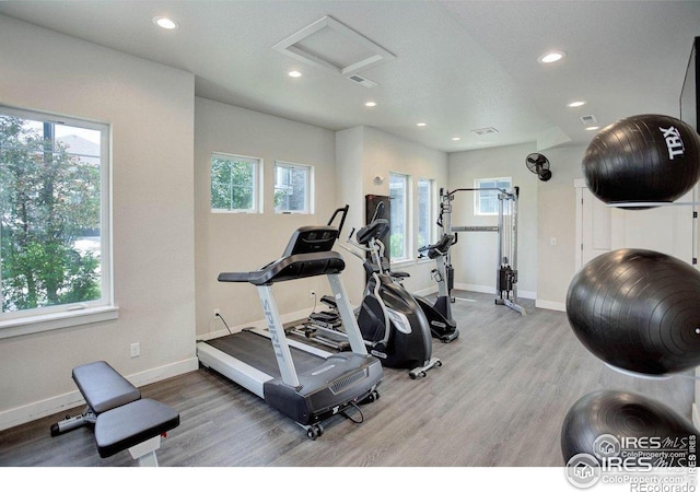 4642 Hahns Peak Dr Unit 101, Loveland, CO 80538 - photo 8