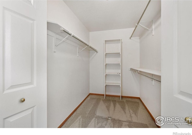 474 Radiant Dr, Loveland, CO 80538 - photo 21