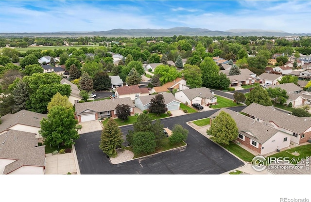 474 Radiant Dr, Loveland, CO 80538 - photo 36