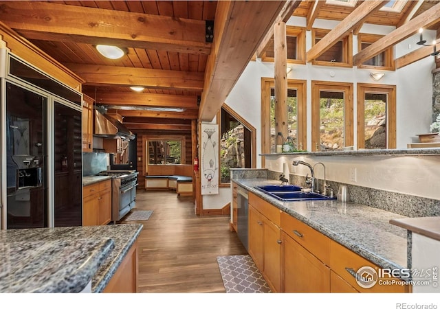 172 Tall Pine Ln, Boulder, CO 80302 - kitchen with premium appliances, range hood, a sink, healthy amount of natural light, and wood ceiling with exposed beams