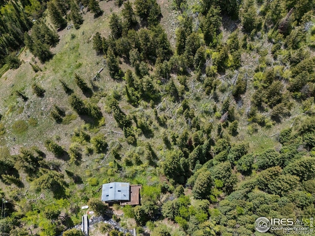 90 California Gulch Rd, Jamestown, CO 80455 - aerial view of property's location