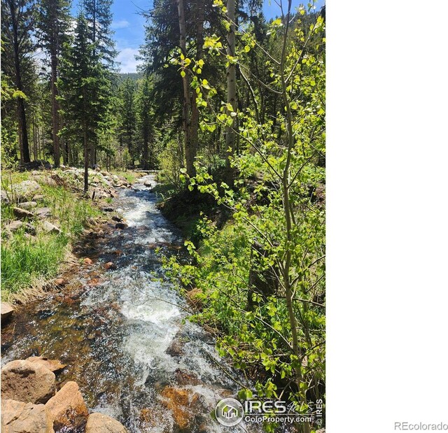 90 California Gulch Rd, Jamestown, CO 80455 - view of road