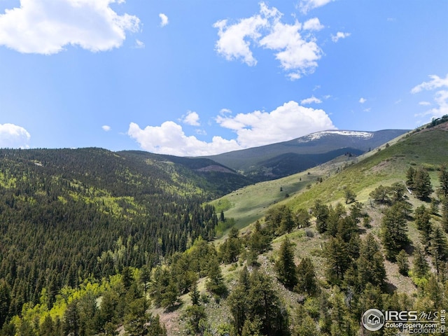 90 California Gulch Rd, Jamestown, CO 80455 - mountain view featuring a forest
