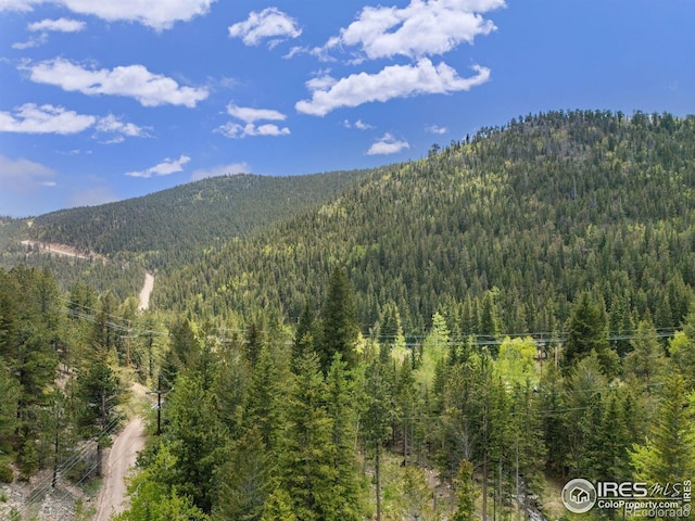 90 California Gulch Rd, Jamestown, CO 80455 - view of mountain backdrop with a heavily wooded area