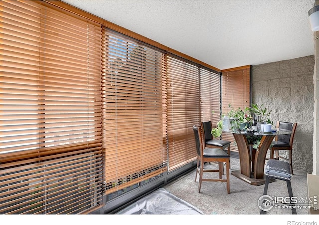 14000 E Linvale Pl Unit 210, Aurora, CO 80014 - view of sunroom / solarium