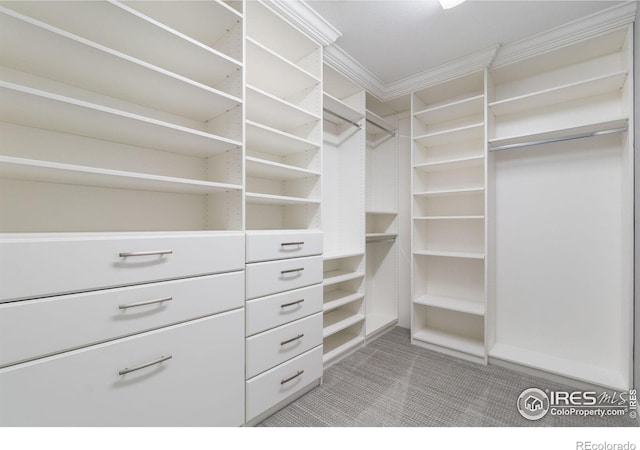 17805 Coral Burst St, Parker, CO 80134 - walk in closet with carpet