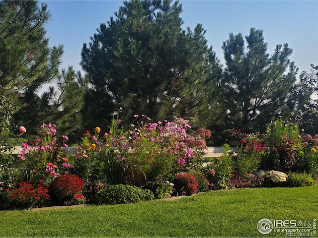 17805 Coral Burst St, Parker, CO 80134 - view of grassy yard