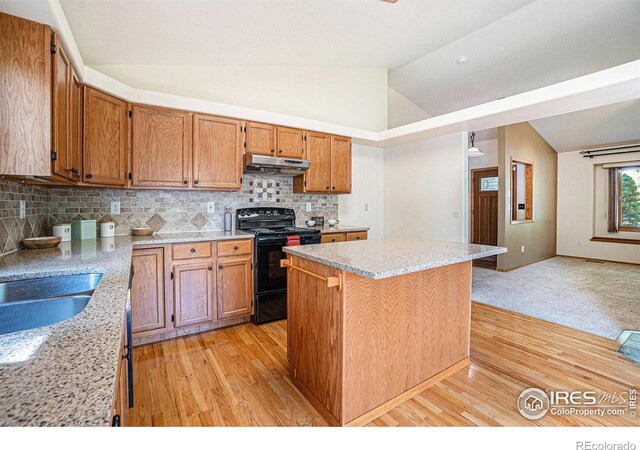 4498 Shubert Dr, Loveland, CO 80538 - photo 12