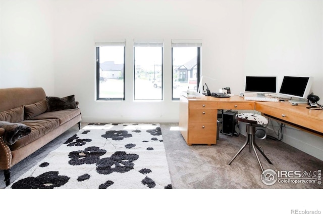 1769 Beachside Dr, Windsor, CO 80550 - office area featuring light colored carpet