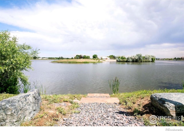 1769 Beachside Dr, Windsor, CO 80550 - water view