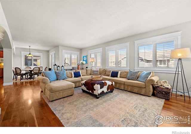 2005 Calico Ct, Longmont, CO 80503 - living room with wood finished floors, baseboards, and a textured ceiling