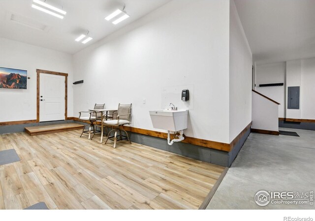 1646 Marbeck Dr, Windsor, CO 80550 - photo 7