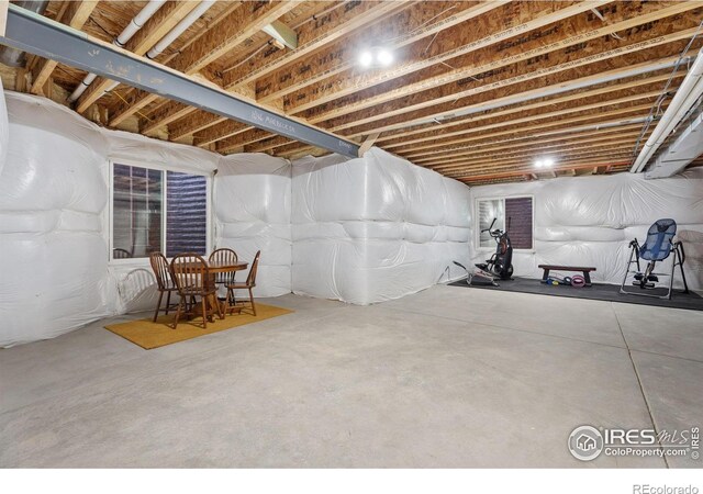 1646 Marbeck Dr, Windsor, CO 80550 - photo 31