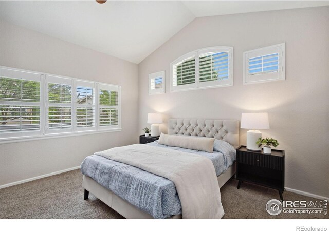 4667 Foothills Dr, Loveland, CO 80537 - photo 15