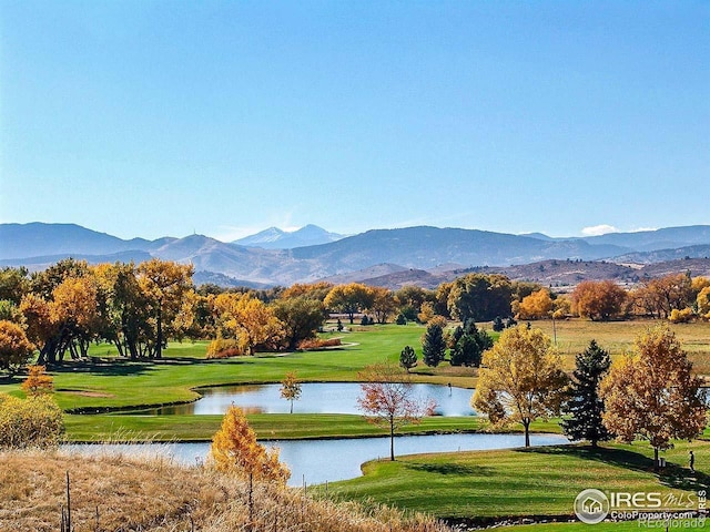 4667 Foothills Dr, Loveland, CO 80537 - photo 40