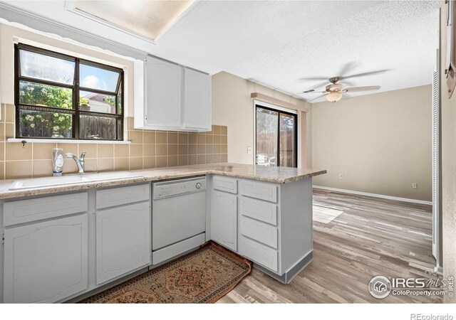 2840 W 21st St Unit 14, Greeley, CO 80634 - kitchen with dishwasher, a sink, a peninsula, backsplash, and light wood-type flooring