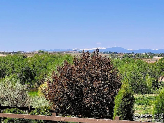 4236 Carroway Seed Ct, Johnstown, CO 80534 - view of mountain backdrop