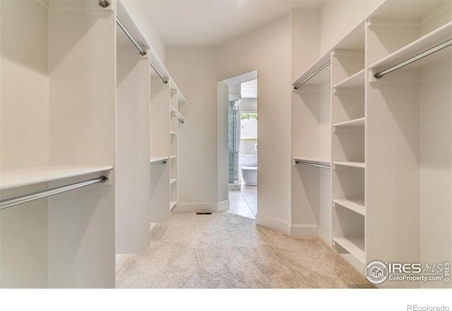4236 Carroway Seed Ct, Johnstown, CO 80534 - walk in closet with light carpet