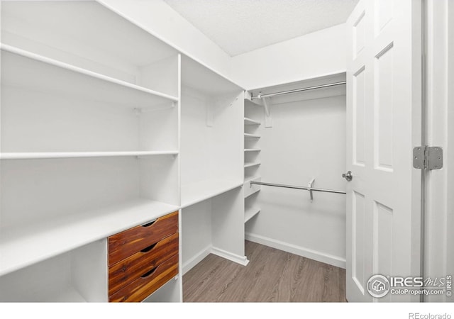 8423 Everett Way Unit A, Arvada, CO 80005 - spacious closet with wood finished floors