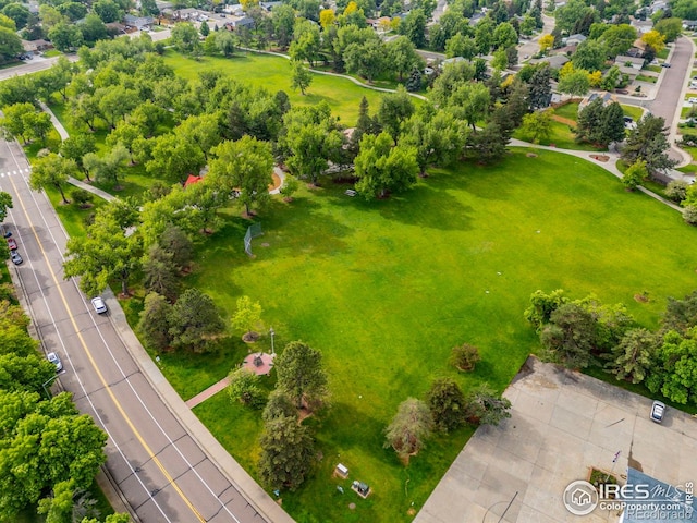 8423 Everett Way Unit A, Arvada, CO 80005 - bird's eye view of a tree filled landscape