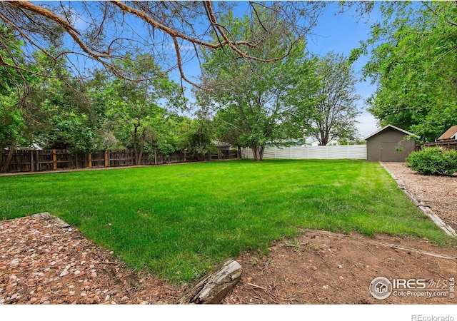 4329 Main St, Timnath, CO 80547 - view of yard