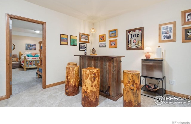 2122 Rio Blanco Ave, Loveland, CO 80538 - photo 20