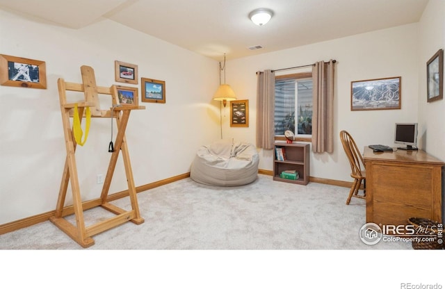 2122 Rio Blanco Ave, Loveland, CO 80538 - photo 21
