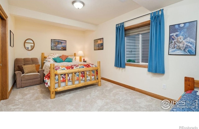 2122 Rio Blanco Ave, Loveland, CO 80538 - photo 22