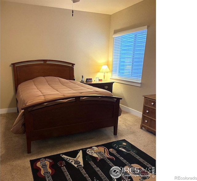 2126 Friar Tuck Ct, Fort Collins, CO 80524 - bedroom with carpet floors and baseboards