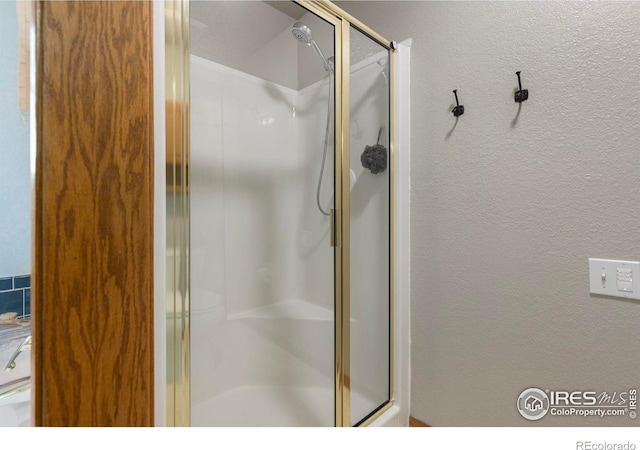 806 51st Ave, Greeley, CO 80634 - bathroom with a shower stall and a textured wall