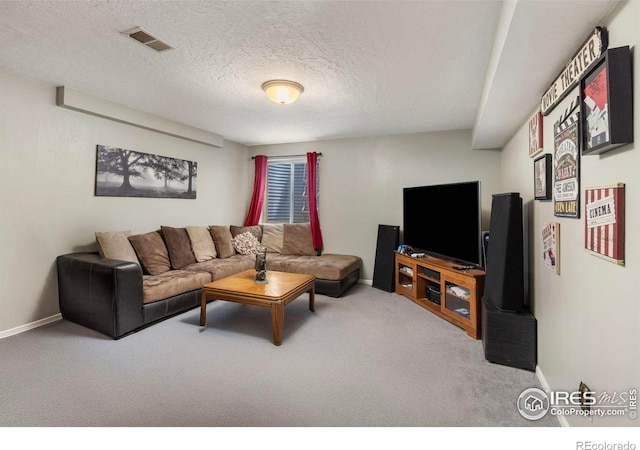 806 51st Ave, Greeley, CO 80634 - living room featuring carpet floors and a textured ceiling
