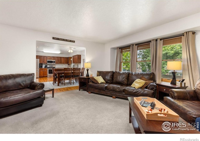 806 51st Ave, Greeley, CO 80634 - living area with light colored carpet