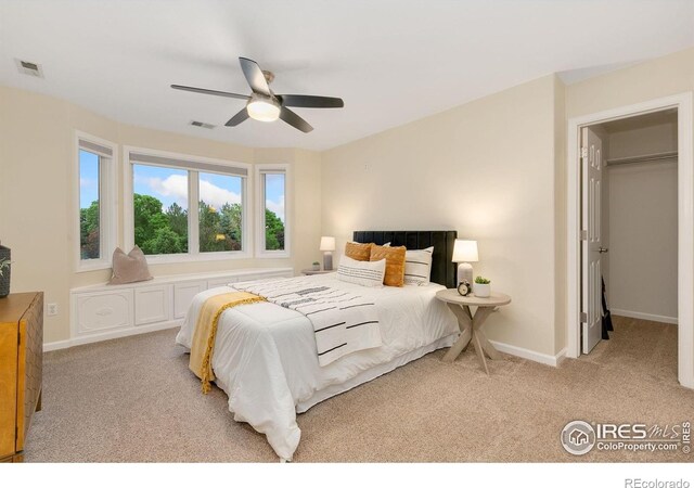 3303 Grand Canyon Ct, Fort Collins, CO 80525 - photo 23