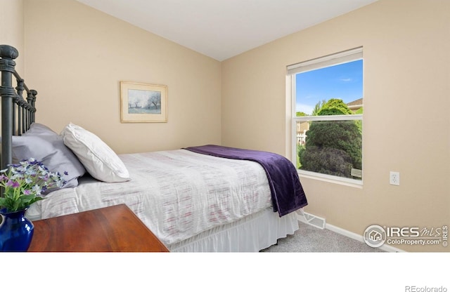 856 Sunchase Dr, Fort Collins, CO 80524 - carpeted bedroom with baseboards and lofted ceiling