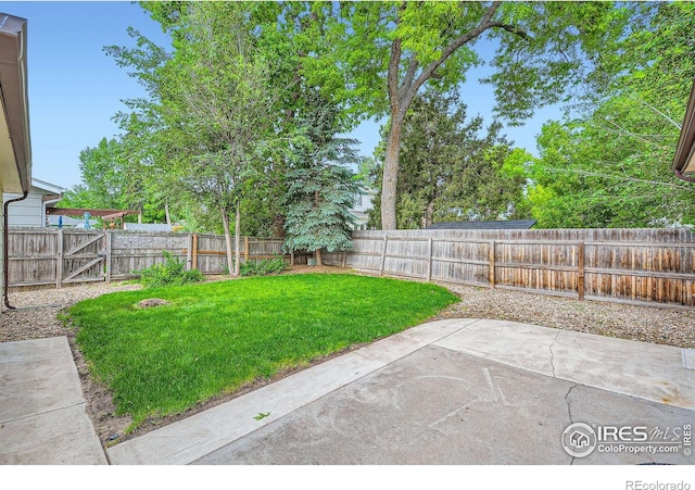 701 Elm St, Windsor, CO 80550 - view of yard with a patio and a gate