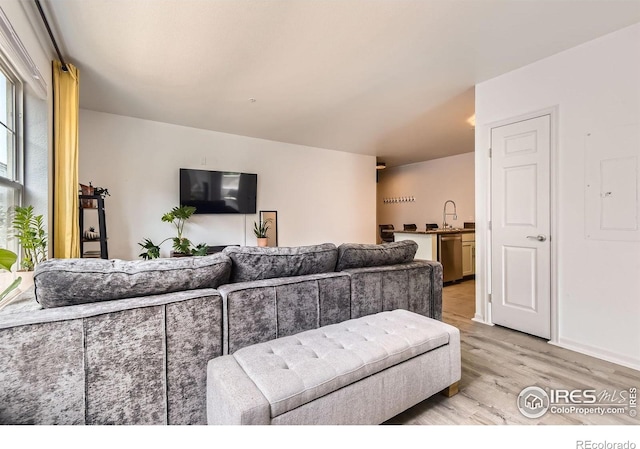 1623 Saint Paul St Unit 310, Denver, CO 80206 - living area with light wood finished floors