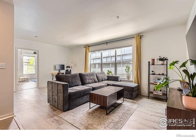 1623 Saint Paul St Unit 310, Denver, CO 80206 - living area featuring light wood-type flooring and baseboards