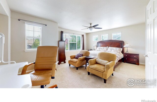 3717 Desert Ridge Cir, Castle Rock, CO 80108 - photo 19