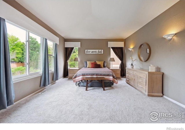 13560 Detroit St, Thornton, CO 80241 - bedroom with carpet floors