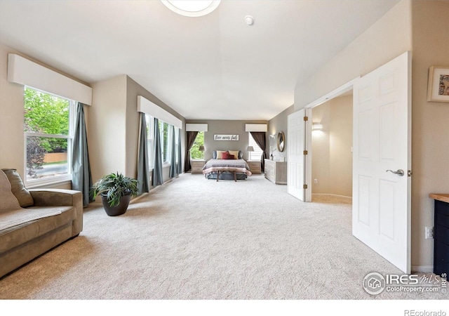 13560 Detroit St, Thornton, CO 80241 - bedroom featuring carpet and baseboards
